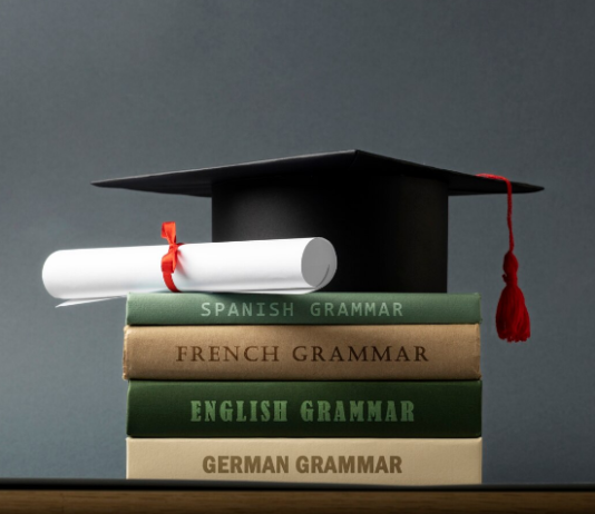 Personalized Learning: Tailoring Education to Individual Needs