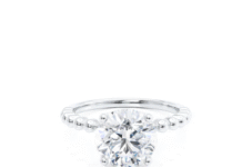 For Those Who Believe in Love That Shines Brighter With Every Chapter